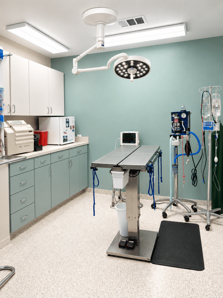 Big Thicket Surgery Suite